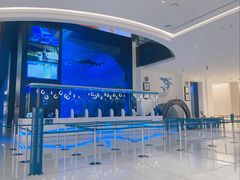 -迪拜水族馆及水下动物园
