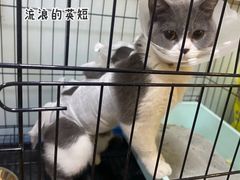 -瑞派·关忠动物医院(国瑞店)