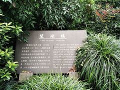 -杭州西湖风景名胜区-北街寻梦