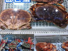 -先锋海鲜市场