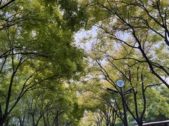 -南翠屏公园