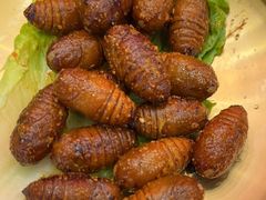 烤蝉蛹-核桃碳烤肉馆(深圳首店)
