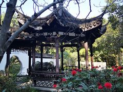 -深圳国际园林花卉博览园