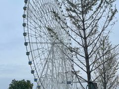 -南昌之星摩天轮