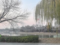 -天津水上公园