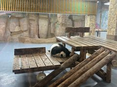 -无锡动物园·太湖欢乐园