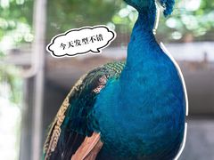 -厦门悦华酒店
