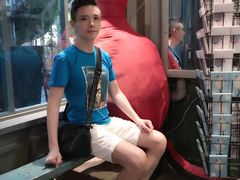 -猫咪博物馆(顶澳仔猫街店)