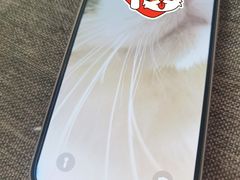 -Apple零售店(中街大悦城店)