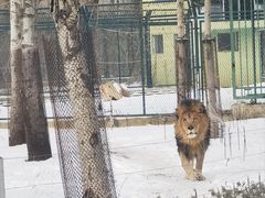 -秦皇岛野生动物园
