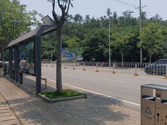 -青龙山国家森林公园