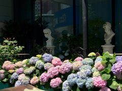 -中粮·祥云小镇
