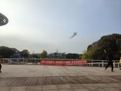 -新江湾城公园