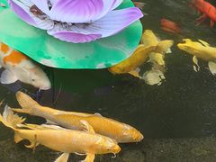 -荣国府