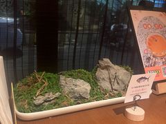 -水之惠鲜鱼料理(王府大街店)