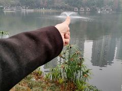 -重庆彩云湖湿地公园
