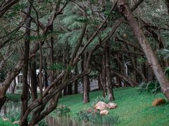 -人民公园(罗湖区)