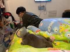 -伟伟宠物医院·瑞派猫友好医院·猫科(光谷店)