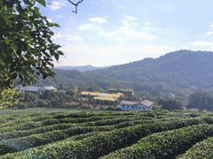 -中国茶叶博物馆(双峰馆区)