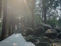 -火炉山森林公园