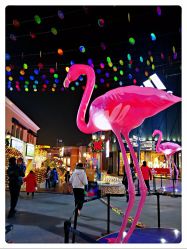 -Early Rider 儿童自行车(蓝色港湾店)