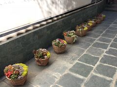 -寂照庵