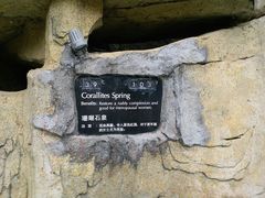 -海口观澜湖火山温泉谷