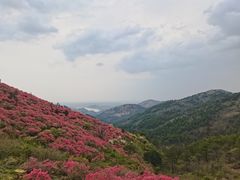 -木兰云雾山