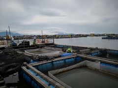 -海上驿站渔家菜馆