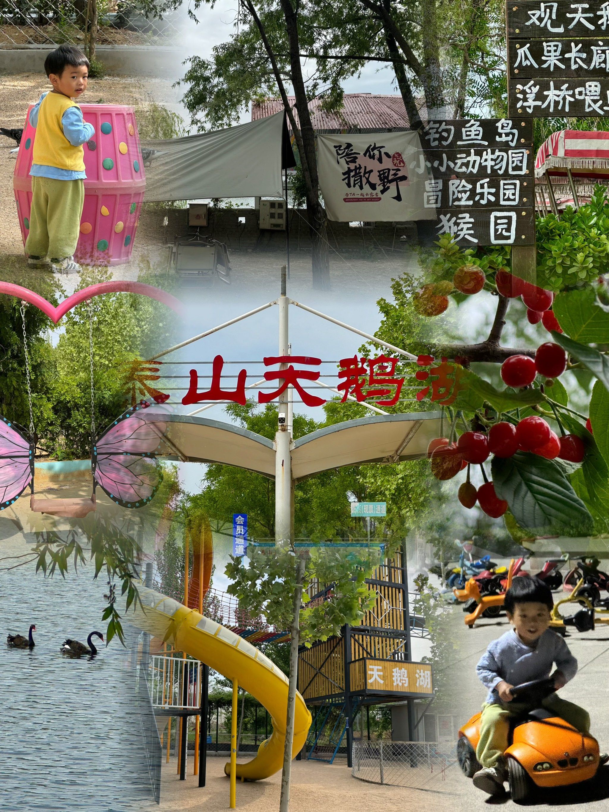五一亲子出行|来泰山天鹅湖亲近大自然