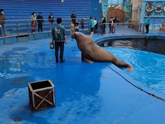 -华夏文旅海洋公园