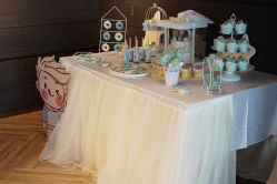 -瑞贝生日派对宝宝宴策划