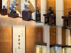 -中华赏石园