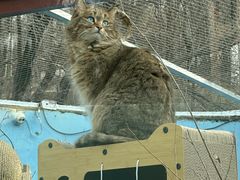 -青藏高原野生动物园