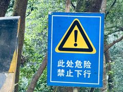 -广州市帽峰山景区