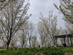-宜兴龙背山森林公园