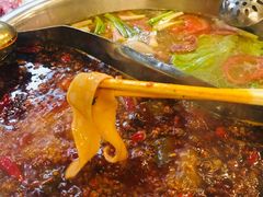 -朱氏胖子烂火锅(洪崖洞店)