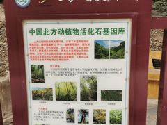 -北京上方山国家森林公园