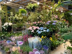 -双季花艺园艺市场(浦东店)