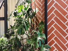 -大快乐牛排咖啡馆·本地西餐厅(南溪钻石城店)