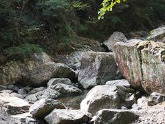 -宁波五龙潭景区