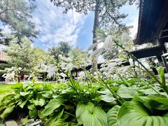 -承德避暑山庄景区