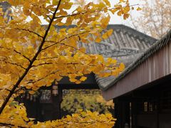 -乐山乌木文化博览苑