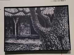 -四川大学博物馆