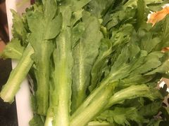 茼蒿-湘肠香火锅店(团结湖店)