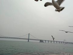 -星海广场
