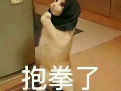 -南京西康宾馆