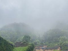 -杨家堂村