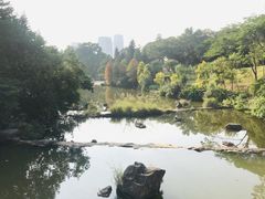 -云溪植物园