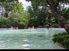 -九龙公园